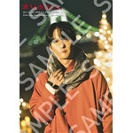 「TVガイドVOICE STARS vol.24」ローソンエンタテインメント購入者特典生写真