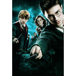 『ハリー・ポッターと不死鳥の騎士団』キービジュアル TM &（C）2007 Warner Bros. Ent. , Harry Potter Publishing Rights（C）J.K.R.