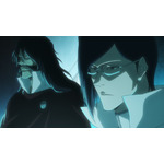 『BLEACH 千年血戦篇』第14話「THE LAST 9DAYS」（C）久保帯人／集英社・テレビ東京・ｄｅｎｔｓｕ・ぴえろ