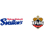 XFLAGが「東京ヤクルトスワローズ」とスポンサー契約を締結、スローガンに「一人じゃできない熱狂を。」 画像