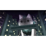 『GAMERA -Rebirth-（ガメラ リバース）』×『夜は猫といっしょ』（C）2023 KADOKAWA/ GAMERA Rebirth Production committee
