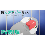 『佐々木とピーちゃん』PV第1弾（C）2024 ぶんころり,カントク/KADOKAWA/佐々木とピーちゃん