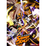 『シャーマンキング』キービジュアル（C）武井宏之・講談社／SHAMAN KING Project.・テレビ東京