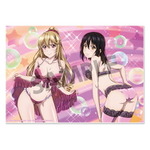 雪菜たちのセクシーイラストが満載『ストライク・ザ・ブラッド』 B2タペストリー、マイクロファイバースポーツタオルなどが登場