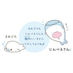 「すみっコぐらし水族館×アクアワールド・大洗」館内ラリーすみっコぐらしと海のなかまたち（C）2024 San-X Co., Ltd. All Rights Reserved.