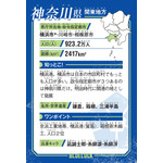 カード裏面