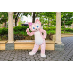 「ダッフィー＆フレンズ・ワンダフルキッチン」グリーティング