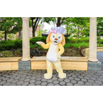 「ダッフィー＆フレンズ・ワンダフルキッチン」グリーティング