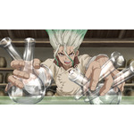 『Dr.STONE』第1期（全24話）