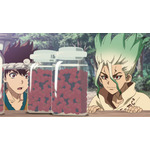 『Dr.STONE』第3期（全22話）