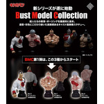 『Bust Model Collection キン肉マン 第1弾』（C）ゆでたまご