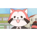 「あらいぐま カルカル団」アカカル（CV.榎木淳弥）のキュートボイス全開の本PV公開！主題歌は花冷え。が担当 画像