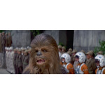 『スター・ウォーズ　エピソード4／新たなる希望』チューバッカ　（C）& TM Lucasfilm Ltd. All rights reserved.