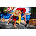 『ONE PIECE at UNIVERSAL FAN FEST NIGHTS』(C)尾田栄一郎／集英社・フジテレビ・東映アニメーション