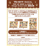 OP UP SHOP in OIOI & Chugai Grace Cafe 連動企画