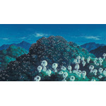 『もののけ姫』（C） 1997 Hayao Miyazaki/Studio Ghibli, ND