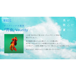 Vaundyコメント