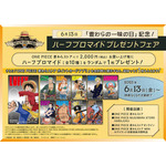 【ハーフブロマイドプレゼントフェア】