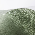 麻落水紙（あさらくすいし）