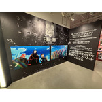 映画『ヒプノシスマイク -Division Rap Battle-』展