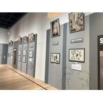 堀越耕平『僕のヒーローアカデミア』原画展（C）堀越耕平／集英社