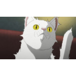 夏アニメ『ニャイト・オブ・ザ・リビングキャット』第1話（Chapter1）「すべてが猫になる」先行場面カット