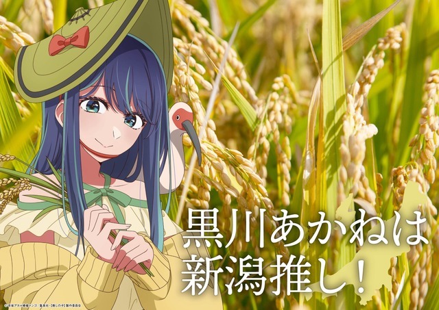 「日本全国project【47都道府県の子】」新潟県