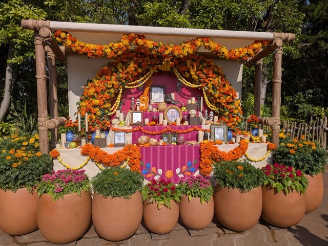 ミゲルも登場！東京ディズニーシー、ディズニー＆ピクサー映画『リメンバー・ミー』の世界がテーマの「ラソス・デ・ラ・ファミリア」初開催！