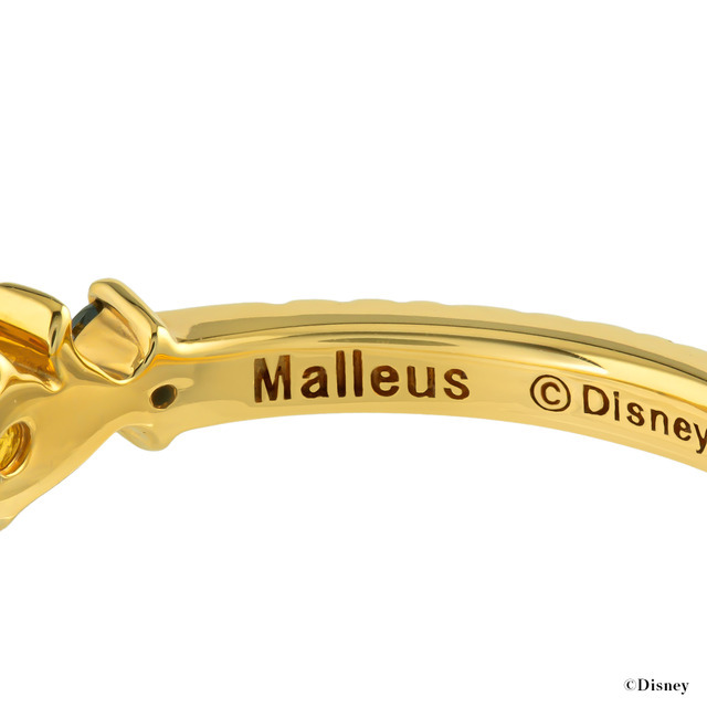 『ディズニー ツイステッドワンダーランド』コレクションジュエリー