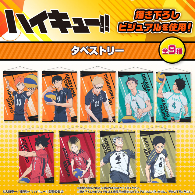 ハイキュー!! タペストリー【描き下ろし】（全９種）