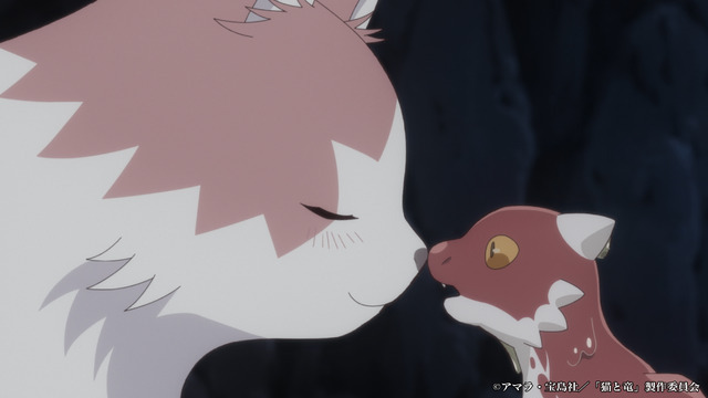 TVアニメ『猫と竜』ティザーPV