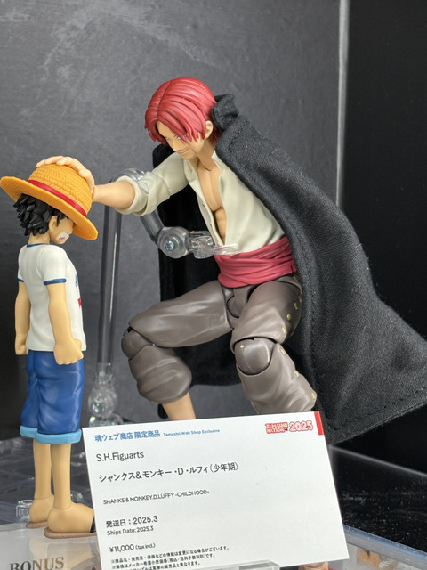 「TAMASHII NATION 2025」実物フィギュア