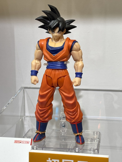 「TAMASHII NATION 2025」実物フィギュア