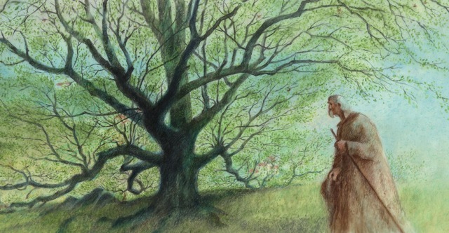 『木を植えた男』