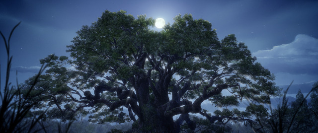 「クスノキの番人」新規場面写真