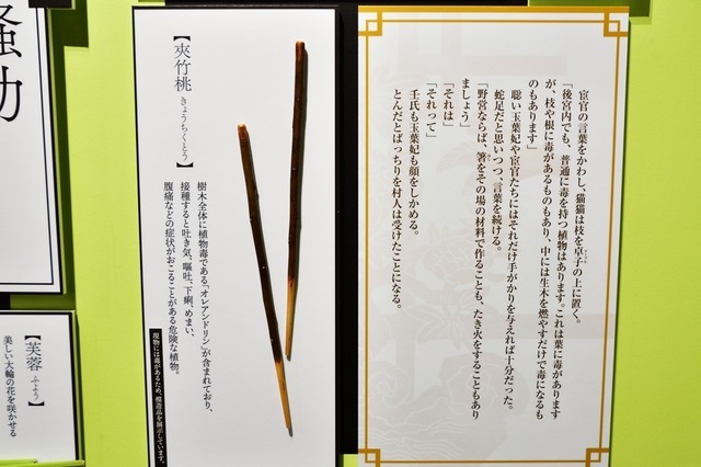 『薬屋のひとりごと』原作展