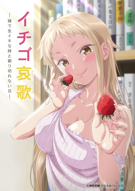 冬アニメ『イチゴ哀歌～雑で生イキな妹と割り切れない兄～』キービジュアル