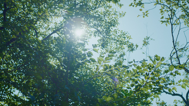 「スペシャリストと走ろう 宮野真守」篇