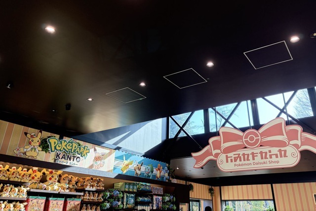 自然光が入り込む優しい雰囲気の店内