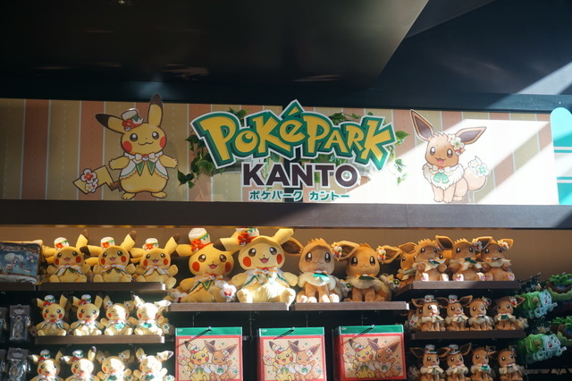 自然光が入る店内