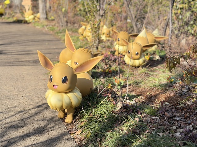 「ピカチュウとイーブイのもり」