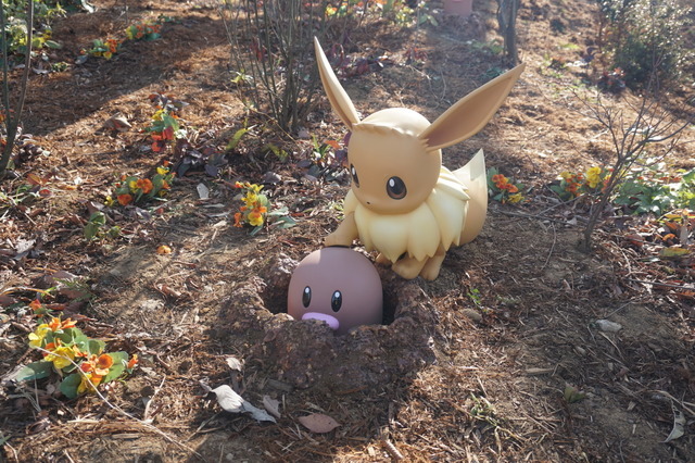 「ピカチュウとイーブイのもり」