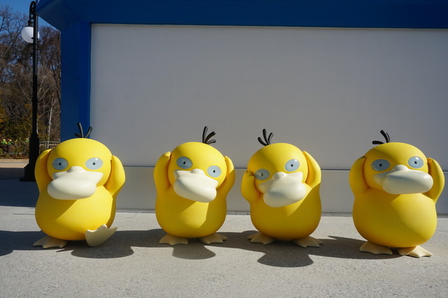 「カヤツリタウン」の至る所にポケモンがいます