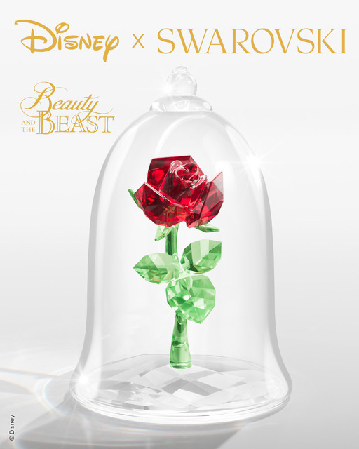 魔法のバラ 29,700円