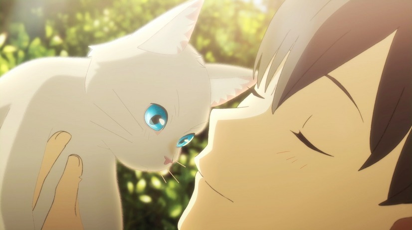 「泣きたい私は猫をかぶる」場面写真が公開、スタジオコロリド制作のアニメ映画