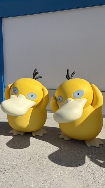 あちらこちらにポケモンが。絶対会いたかったコダックを発見！