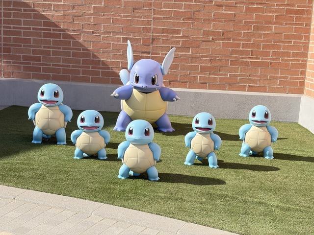 勇しいゼニガメとカメール