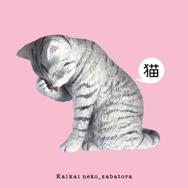 サバトラ：サイズ（H38×W54mm）