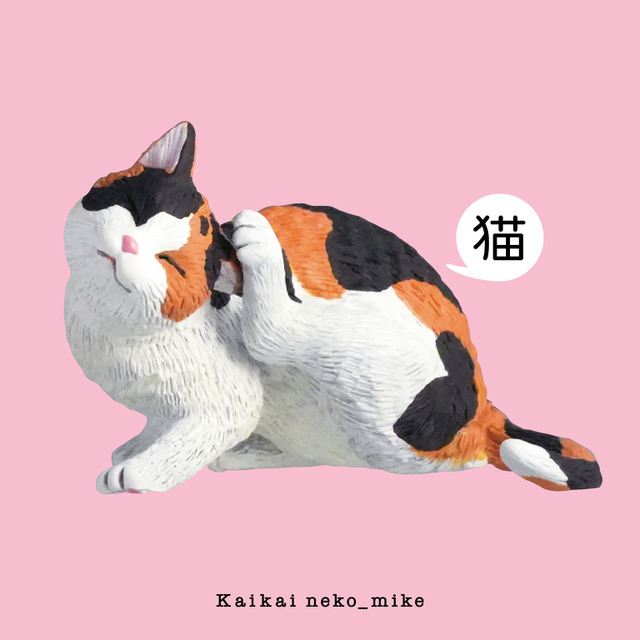 三毛：サイズ（H38×W55mm）