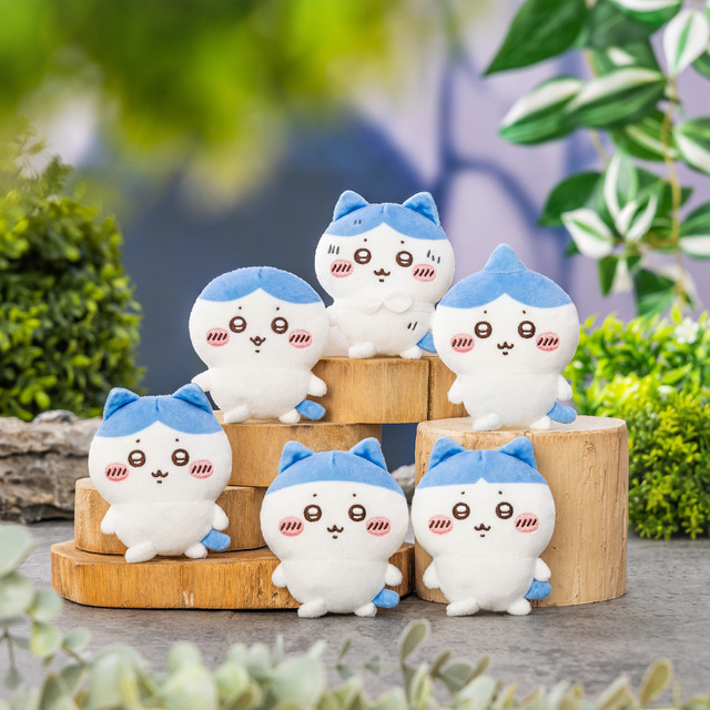 「ハチワレだらけくじ」